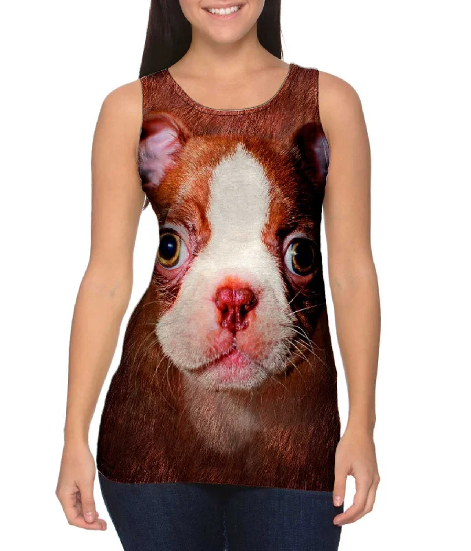 Boston Terrier Face